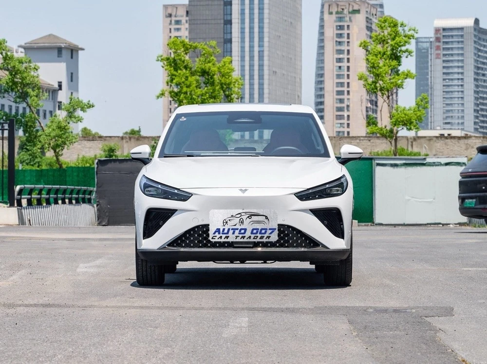 Import Neta L electric car from China